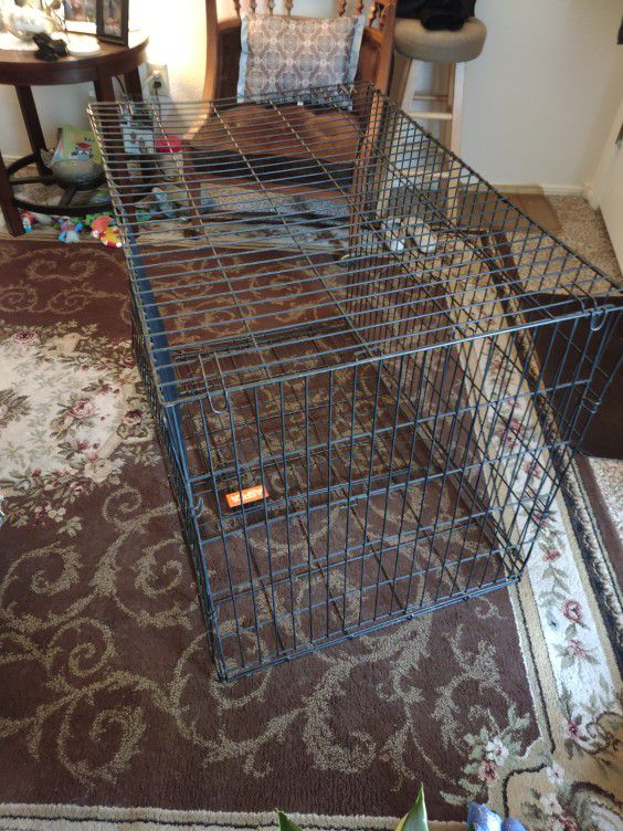 Collapsible Kennel