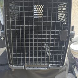 Dog kennel
