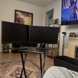 Dell Monitors 