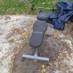Free Weight Bench With Weights 