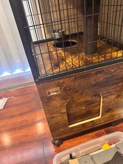 Cat house
