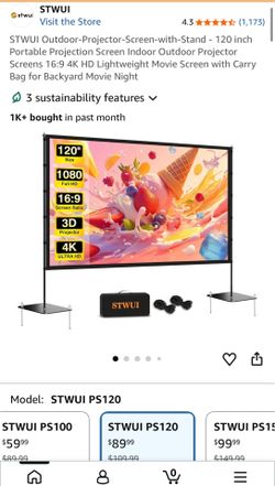 Outdoor projector screen