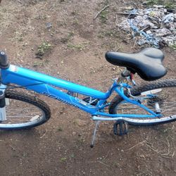 Schwinn Bicycle 26 Inch 50.00