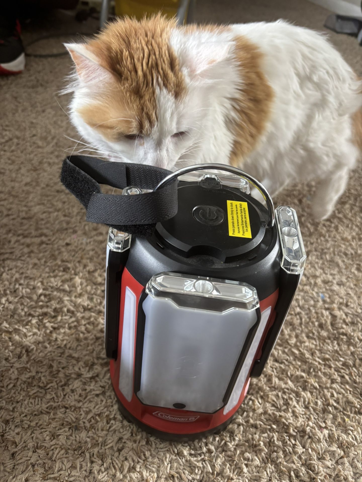 Coleman lantern