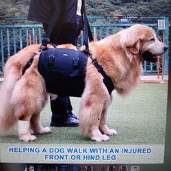 KOKOIE Full Body Size Large Dog Support Harness W/Handle & Strap Blue