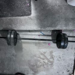 Bench Bar With Weights. 60 Lbs Total 15 Each. 