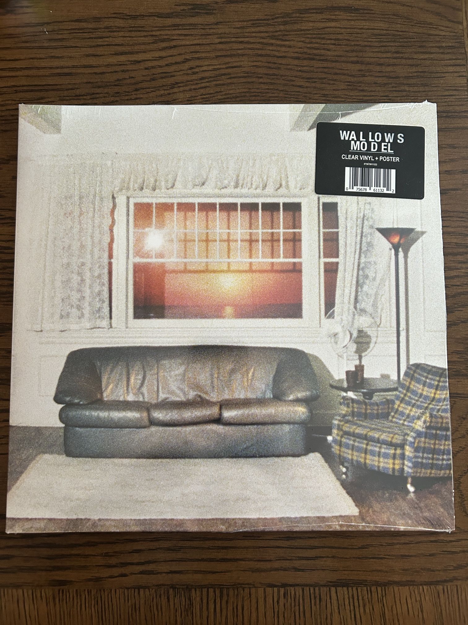 Wallows “Model” Clear Vinyl + Poster