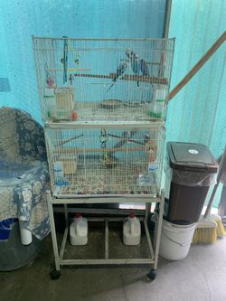 Bird Cages With Stand