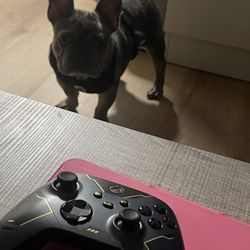 Xbox Controller 
