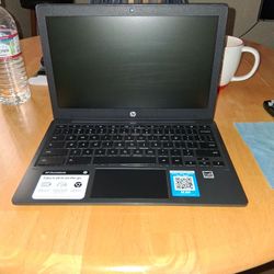 Hpchrome book