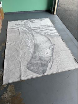 Area Rug 5x7