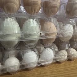 Fresh Eggs 