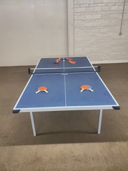 Ping Pong Table