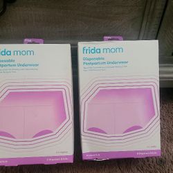 NEW FRIDA MOM DISPOSABLE POSTPARTUM UNDERWEAR ONE SIZE