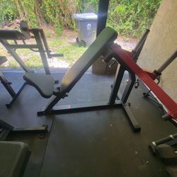 Chest Fly And Bicep Tricep Machine 