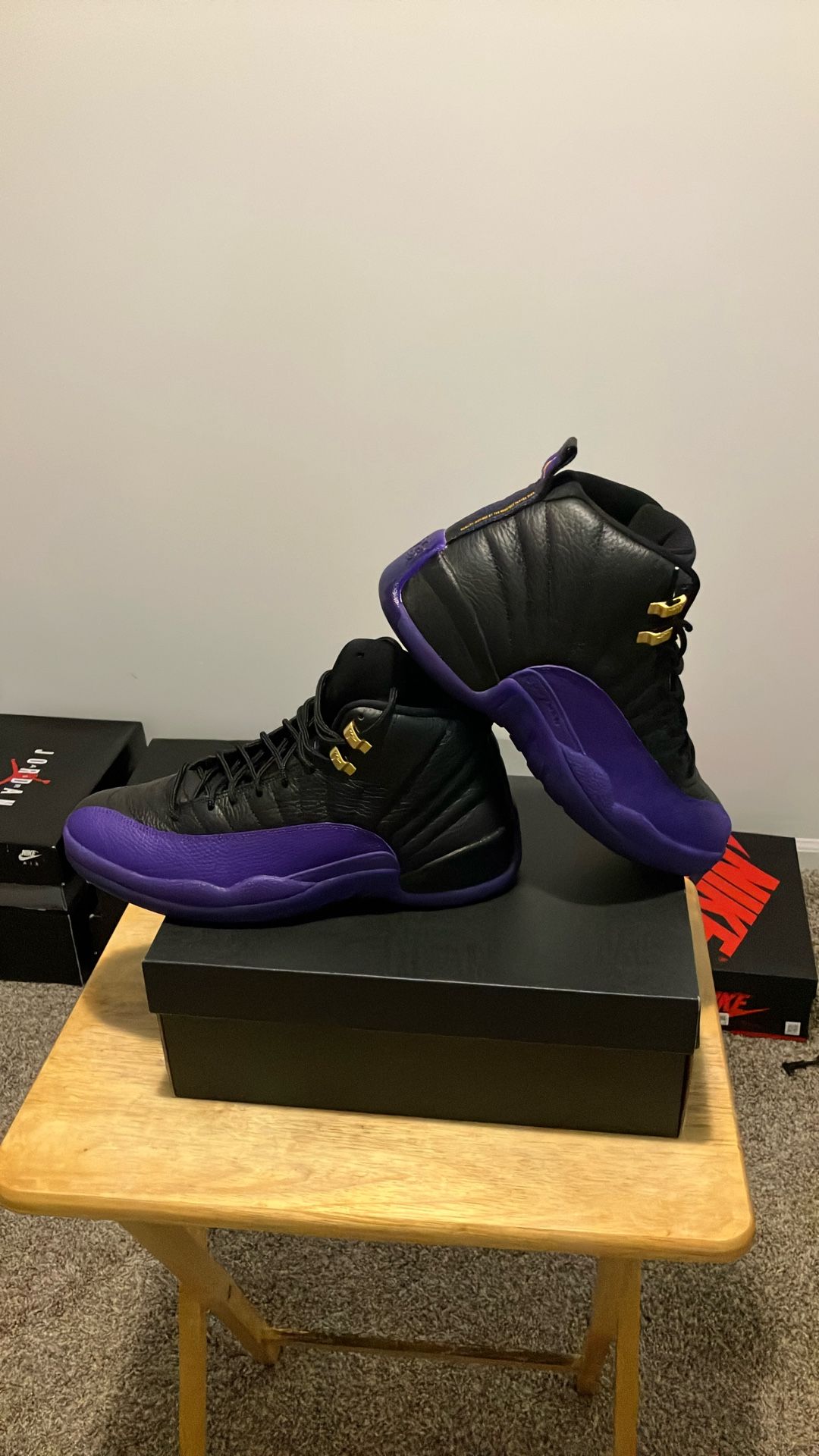 DS Jordan 12 Retro Field Purple