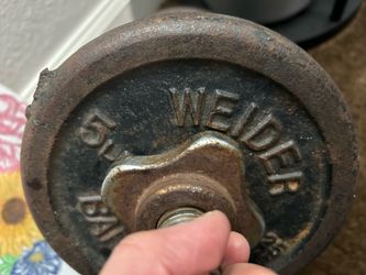 Weider 5 lb Cast Iron Weight Plate