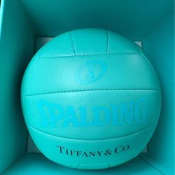 Tiffany & Co. Spalding Volleyball