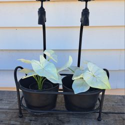 Metal Planter Pot Water Faucets, Garden Patio Home Decor
