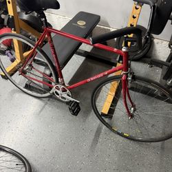 De Bernardi Fixie Bike