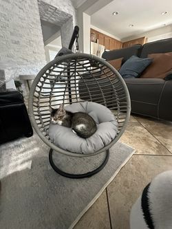 Pet Hanging Chair
