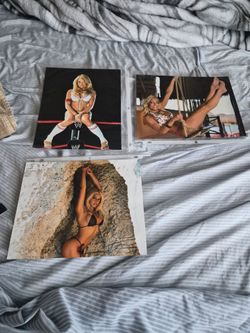 WWE Diva trish stratus  Glossy Photo Prints Set of 3