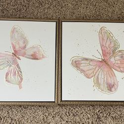 2 Butterfly Pictures