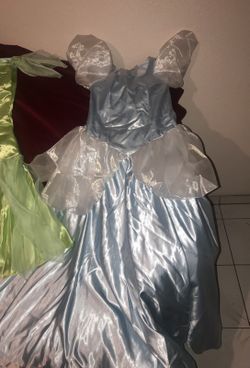 Cinderella costume