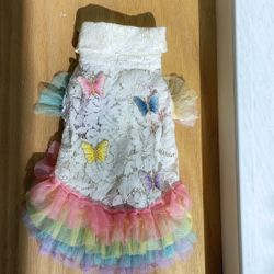 Pet Costume Lace Outfit with Rainbow Tulle Skirt, Cat and Small Dog Apparel