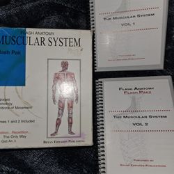 Flash Anatomy Muscular System