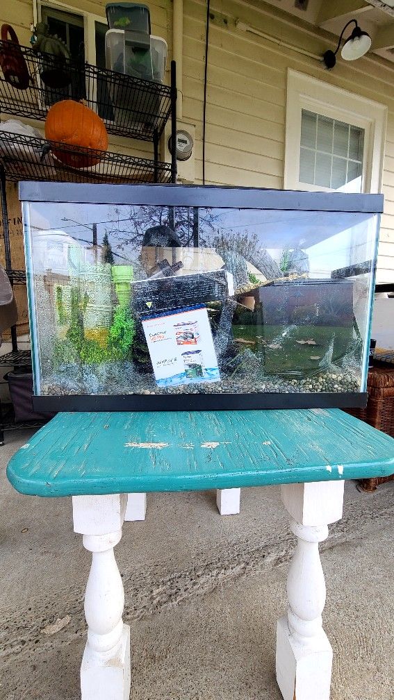10 Gallon Aquarium And Supplies 