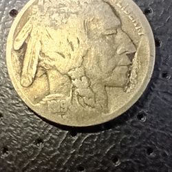 1919 Buffalo Nickel
