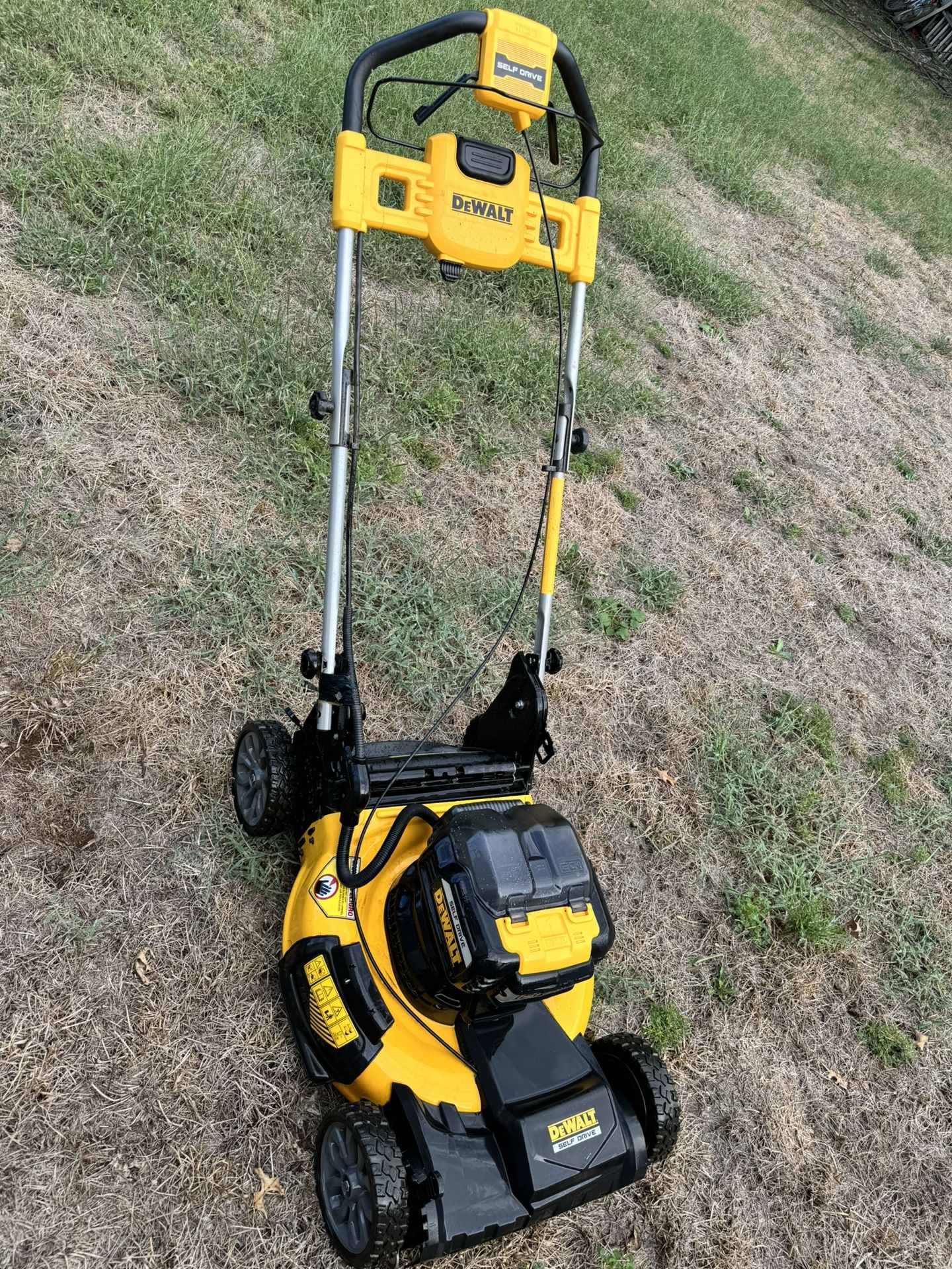 Dewalt
