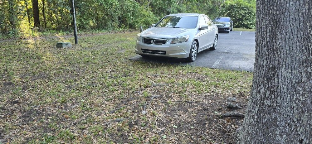 2010 Honda Accord