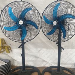 Fan