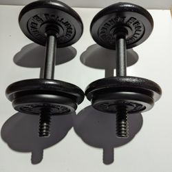  Vintage Bollinger Dumbbell Set