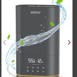 Humidifier 6 Liter