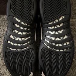 Jordan Retro 12