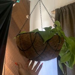 Macetas Colgantes / hanging flowerpot