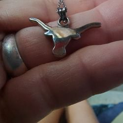 Longhorn  Pendant & Jersey