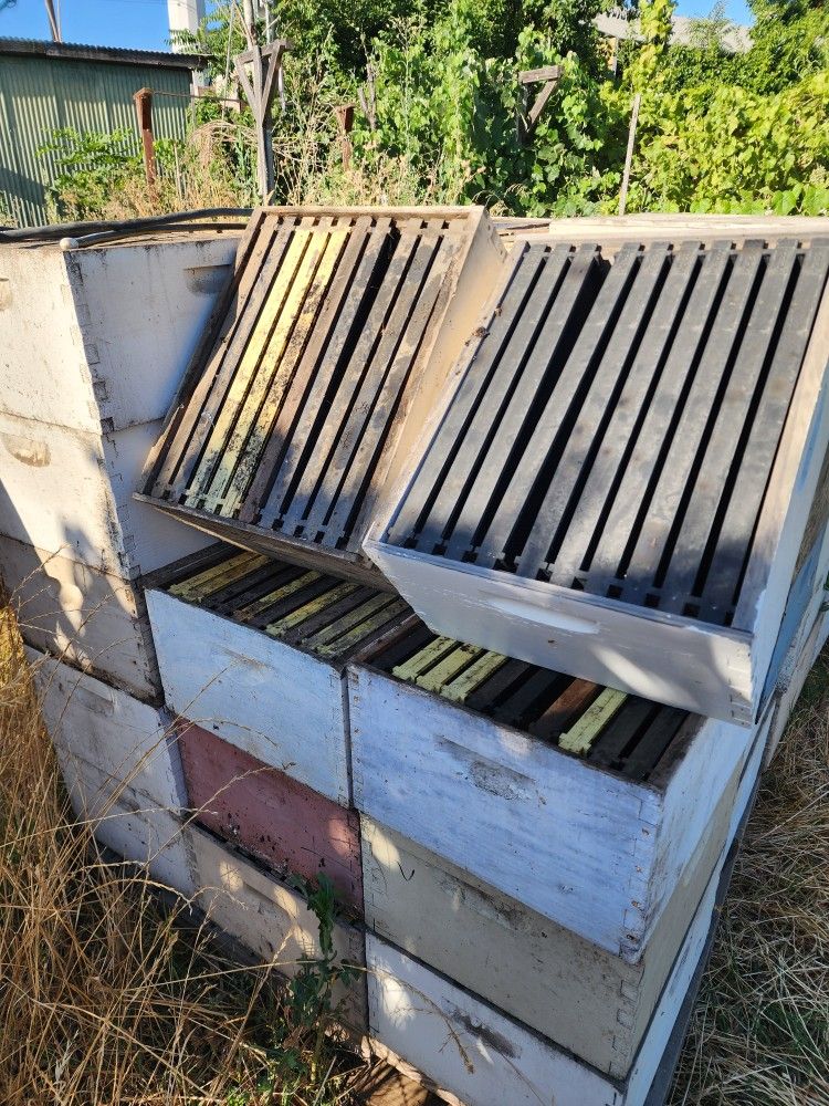 Bee Hive Boxes With 10 Frames