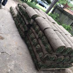 Fresh Sod 