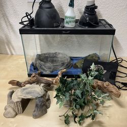 Reptile Tank and Decor
