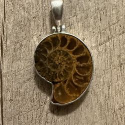 Natural AMMONITE Fossil Wrapped in Sterling Silver.