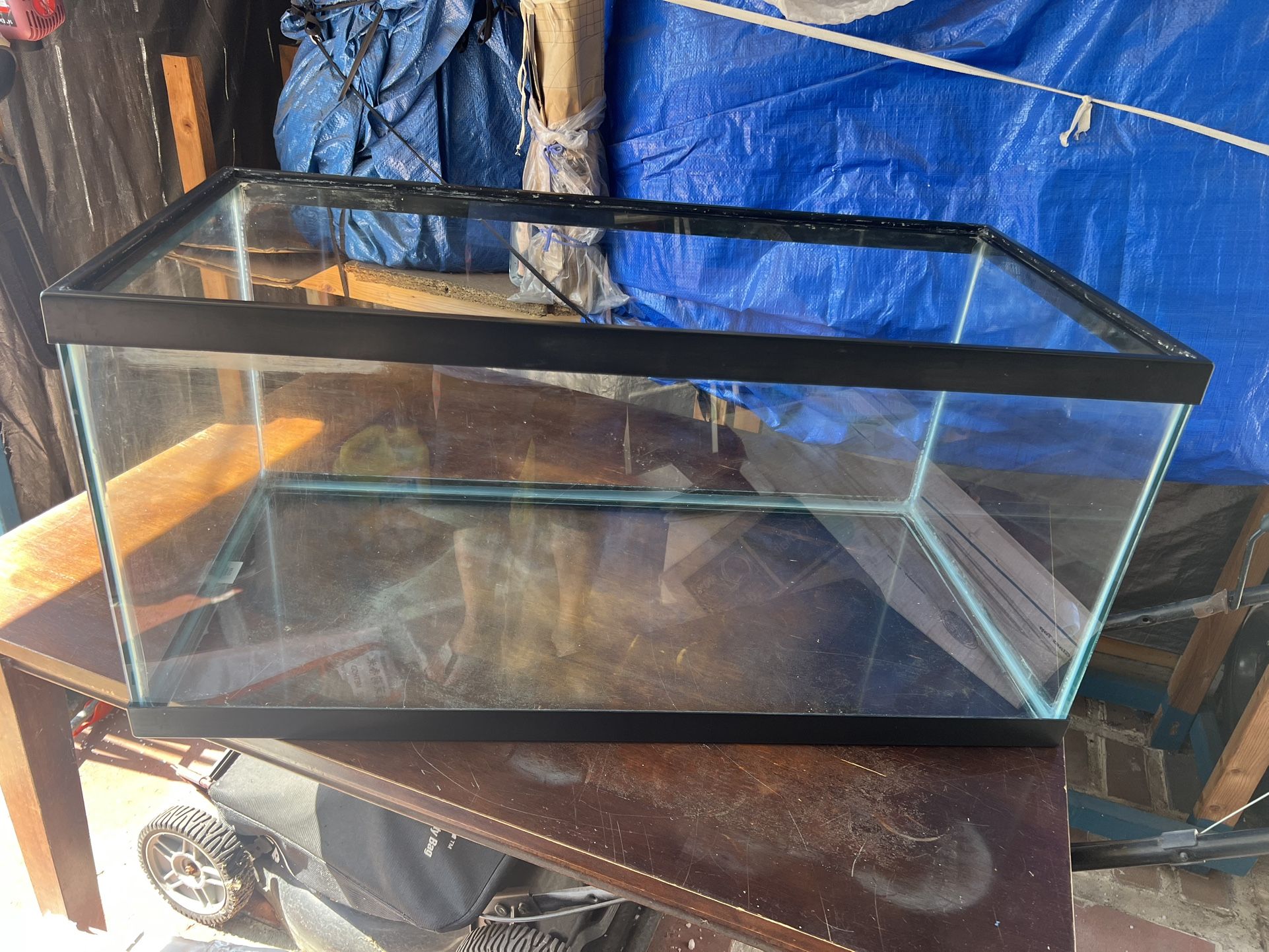 Fish Tank