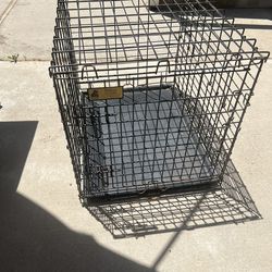 Large Dog Crate