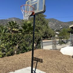 Basketball Hoop
