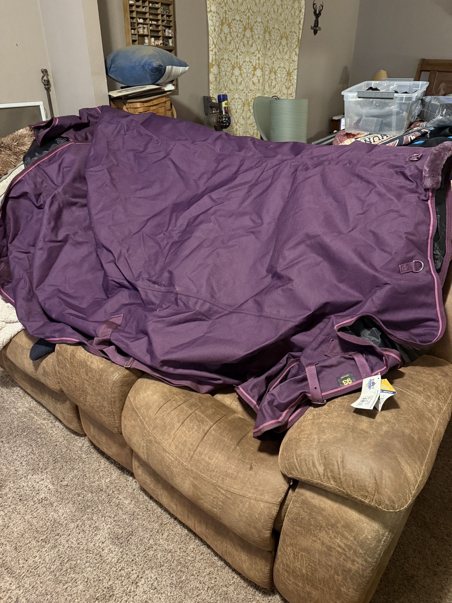 Draft Horse Winter Blanket