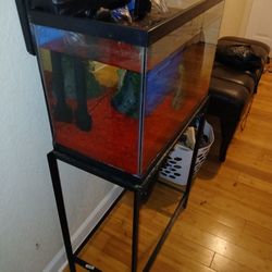 Fish Tank And Accessories