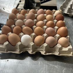 Eggs